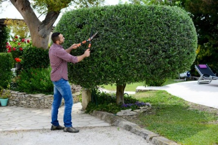 Quand tailler ses haies et arbustes pour pr&eacute;server la biodiversit&eacute; du jardin ?
